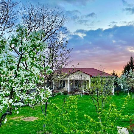 One Dom Cottage Gabala Exteriér fotografie