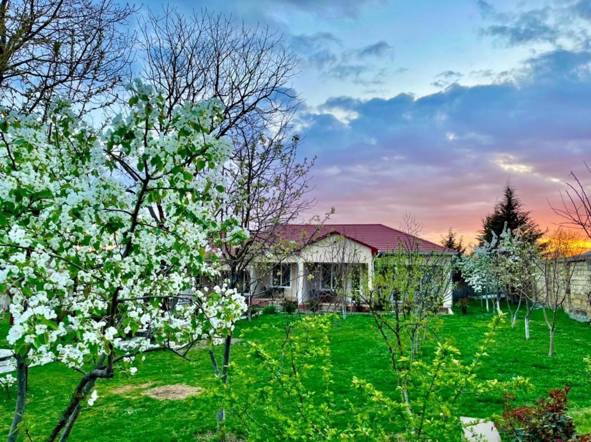 One Dom Cottage Gabala Exteriér fotografie