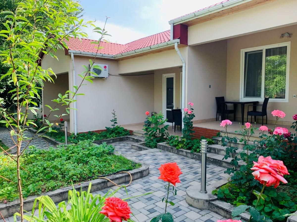 One Dom Cottage Gabala Exteriér fotografie