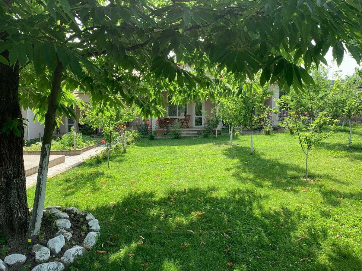 One Dom Cottage Gabala Exteriér fotografie