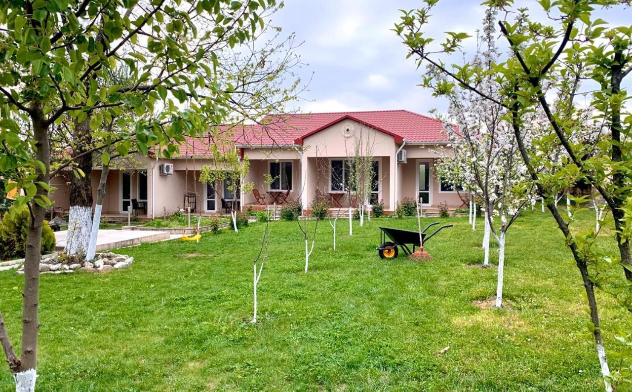 One Dom Cottage Gabala Exteriér fotografie